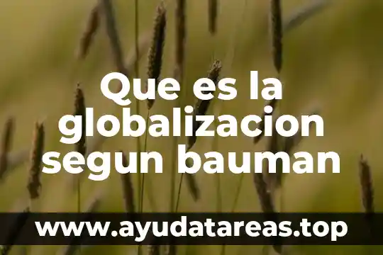 Que es la globalizacion significado y caracteristicas 4 Que es la globalizacion segun bauman