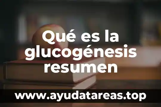 Qué es la glucogénesis resumen