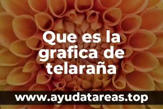 Grafica de que es una novela 4 Que es la grafica de telaraña