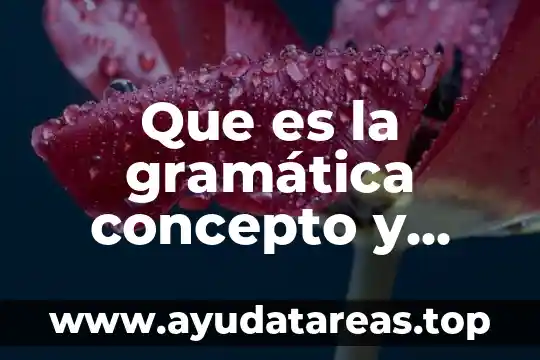Que es la gramática concepto y ejercios