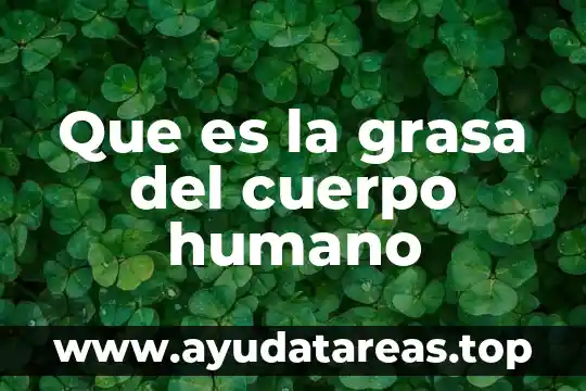 Que es la grasa del cuerpo humano