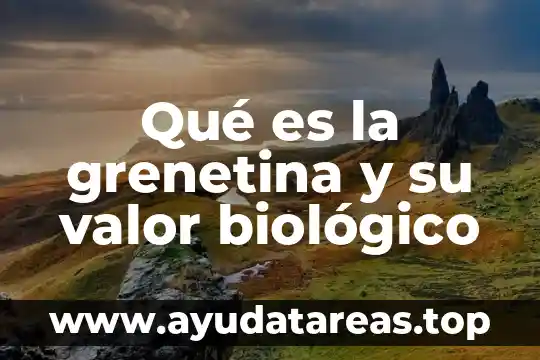 Que es valor relativo y absoluto de un número 8 Qué es la grenetina y su valor biológico