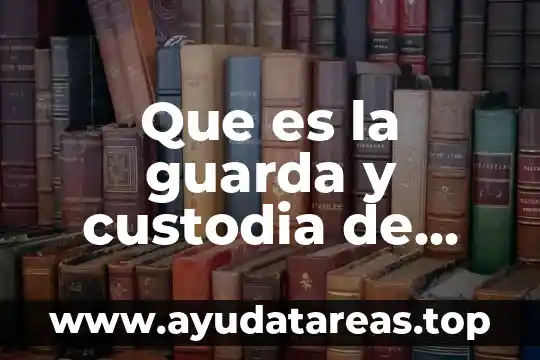 Qué es cadena de custodia definición 7 Que es la guarda y custodia de mercancias definicion