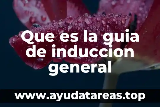 Que es un isomero y sus tipos 4 Que es la guia de induccion general
