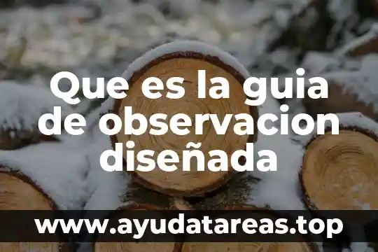 Que es la guia de observacion diseñada