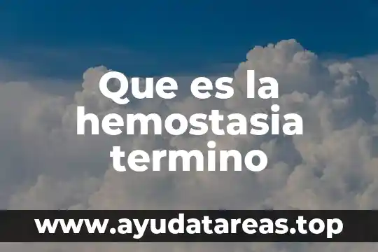 Que es la hemostasia termino