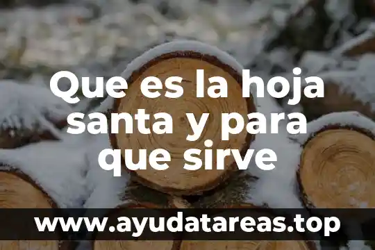 Que es la hoja santa y para que sirve