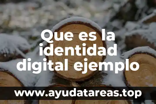 Que es el estudio autoecologia y ejemplo 8 Que es la identidad digital ejemplo