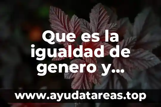 Que es la igualdad de genero y equidad de genero