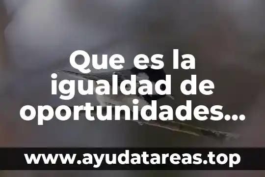 Que es la igualdad de oportunidades y estado de derecho