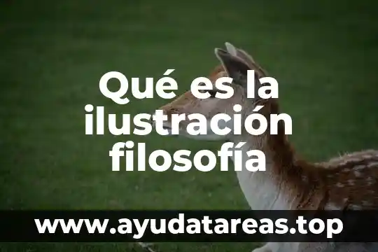 Qué es un buzón de informes en empresas 4 Qué es la ilustración filosofía