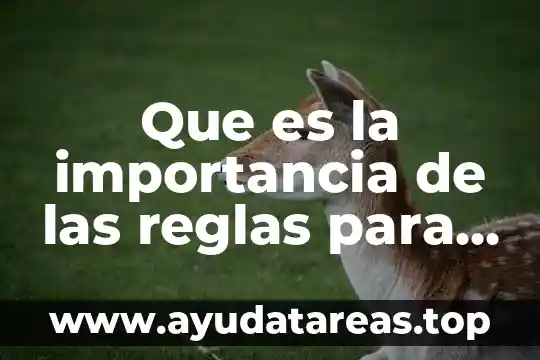 Que es la importancia de las reglas para el juego