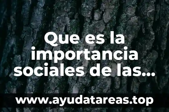 Que es escarpado en sociales 6 Que es la importancia sociales de las ciencias social
