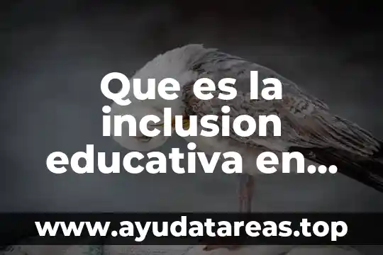 Que es inclusion educativa en mexico 6 Que es la inclusion educativa en chile