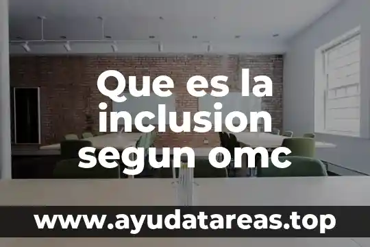 Que es la inclusion segun omc