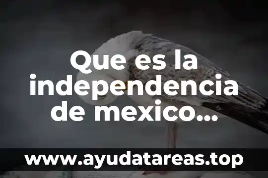 Que es la independencia de mexico explicacion para niños