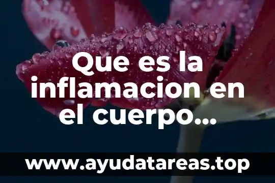Que es la inflamacion en el cuerpo humano