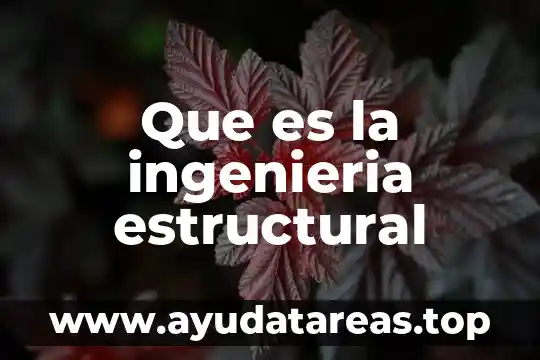 Que es la ingenieria estructural