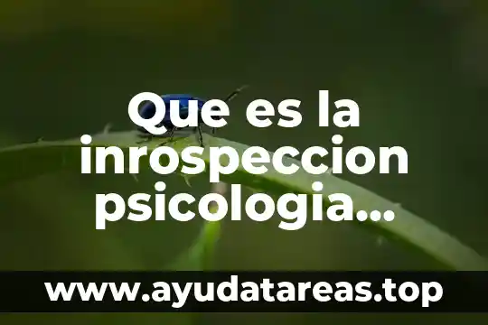 Qué es el vínculo en psicología 7 Que es la inrospeccion psicologia actualmente