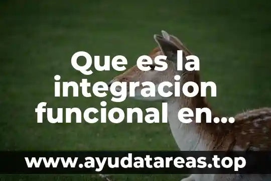 Qué es c.f.p.m en educación preescolar 8 Que es la integracion funcional en un preescolar