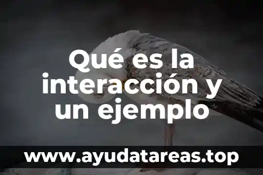 Que es el estudio autoecologia y ejemplo 5 Qué es la interacción y un ejemplo