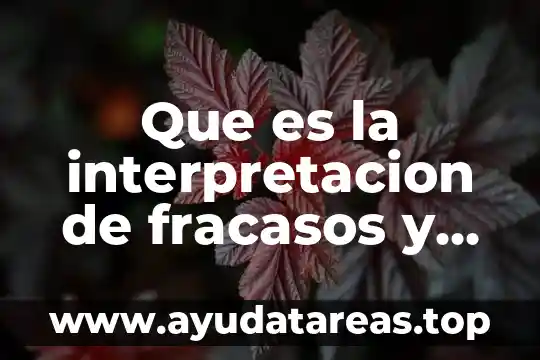 Que es la interpretacion de fracasos y oportunidades segun autores