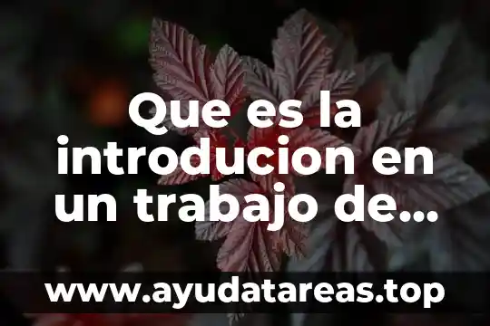 Que es la introducion en un trabajo de tesis
