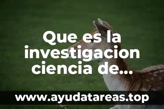 Que es la investigacion ciencia de ciencia sociales