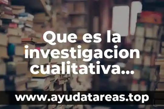 Que es la investigacion cualitativa segun alvares gayou