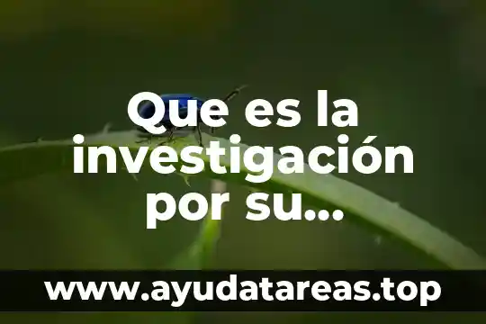 Qué es un proceso de orientación vocacional 4 Que es la investigación por su orientacion