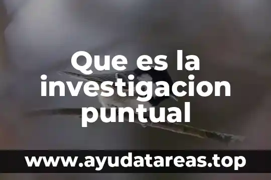 Que es la investigacion puntual