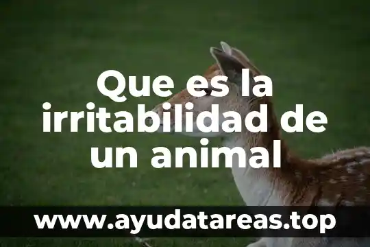 Que es la irritabilidad es los seres vivos 3 Que es la irritabilidad de un animal