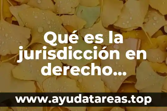 Que es mala fe en derecho civil 6 Qué es la jurisdicción en derecho procesal civil