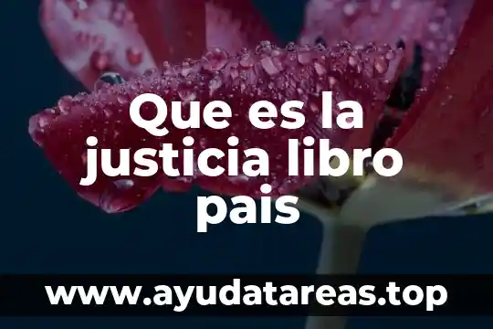 Que es la justicia libro pais