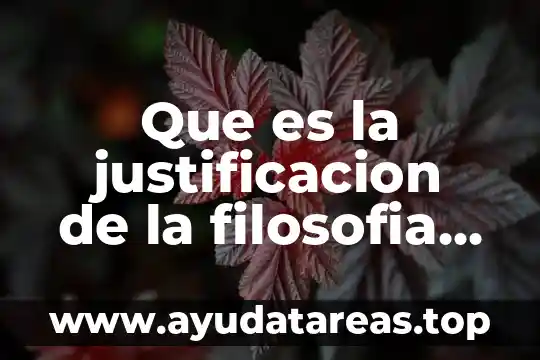 Que es la justificacion de la filosofia del derecho