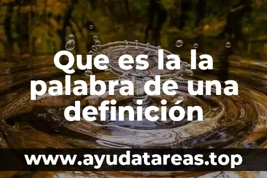 Que es la la palabra de una definición