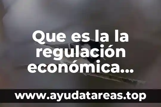 Que es la la regulación económica concepto