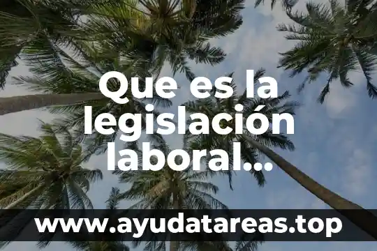 Que es la paradoja mexicana 8 Que es la legislaci贸n laboral mexicana