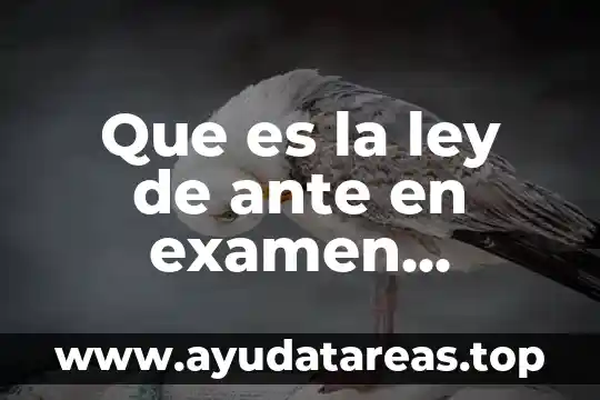 La vento street 2014 que significa que es bi2 8 Que es la ley de ante en examen extraoral