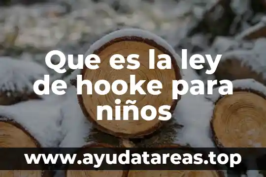 Que es la ley de hooke para niños