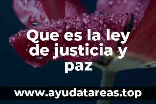Que es la ley de la plas 8 Que es la ley de justicia y paz