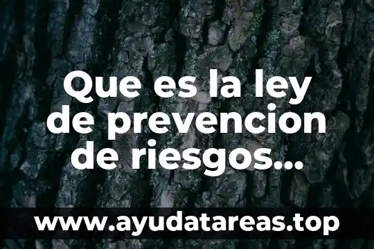 Que es la ley de prevencion de riesgos laborales