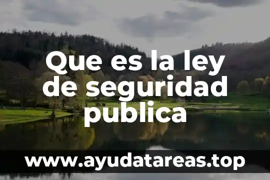 Que es la ley de seguridad publica