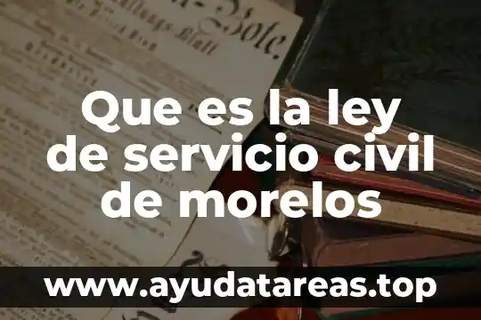 Que es mala fe en derecho civil 3 Que es la ley de servicio civil de morelos