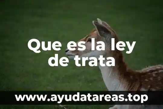 Que es la ley de trata