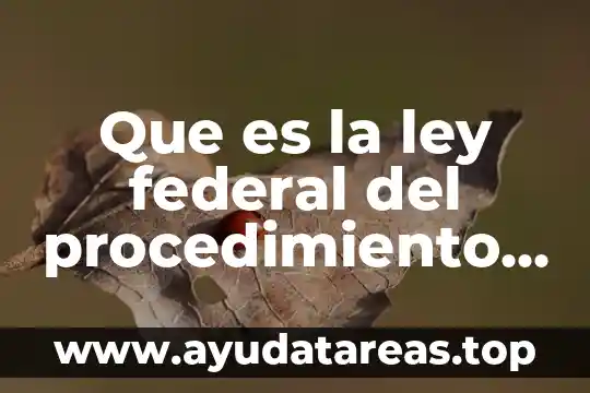 Qué es el examen de ácido valproico 3 Que es la ley federal del procedimiento contencioso administrativo
