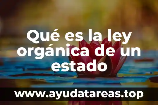 Qué es la ley orgánica de un estado