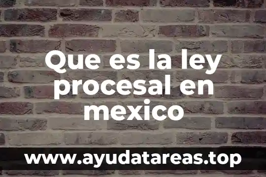 Que es el decho procesal civil segun castrillon y luna 6 Que es la ley procesal en mexico