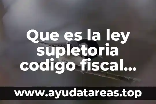 Que es la ley supletoria codigo fiscal de la federacion