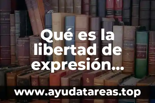 Qué es la libertad de expresión definición